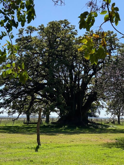 Casa de campo “Los Ombues”