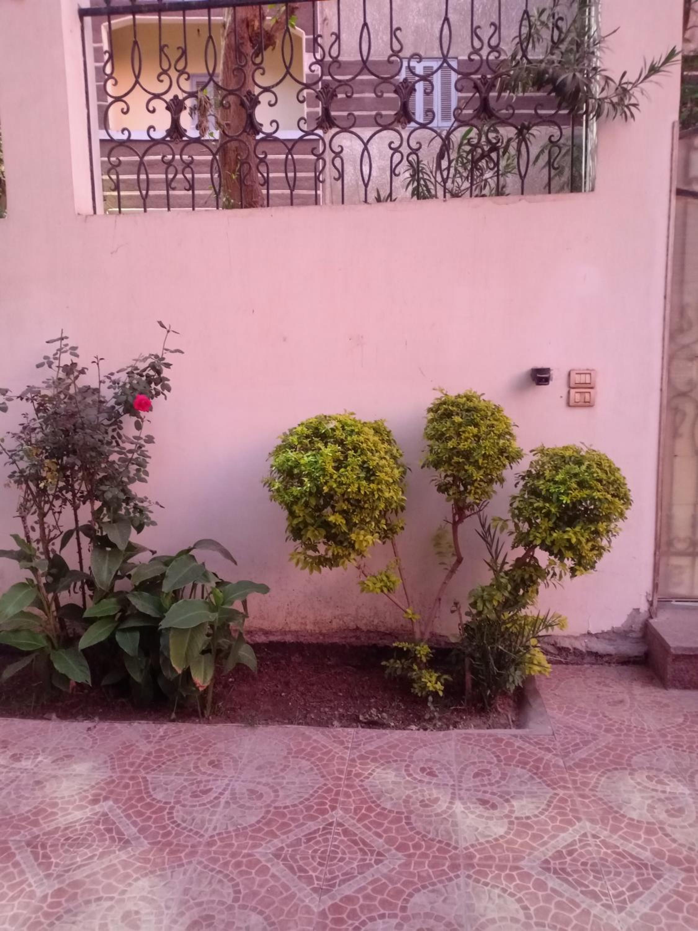 Masa House Luxor