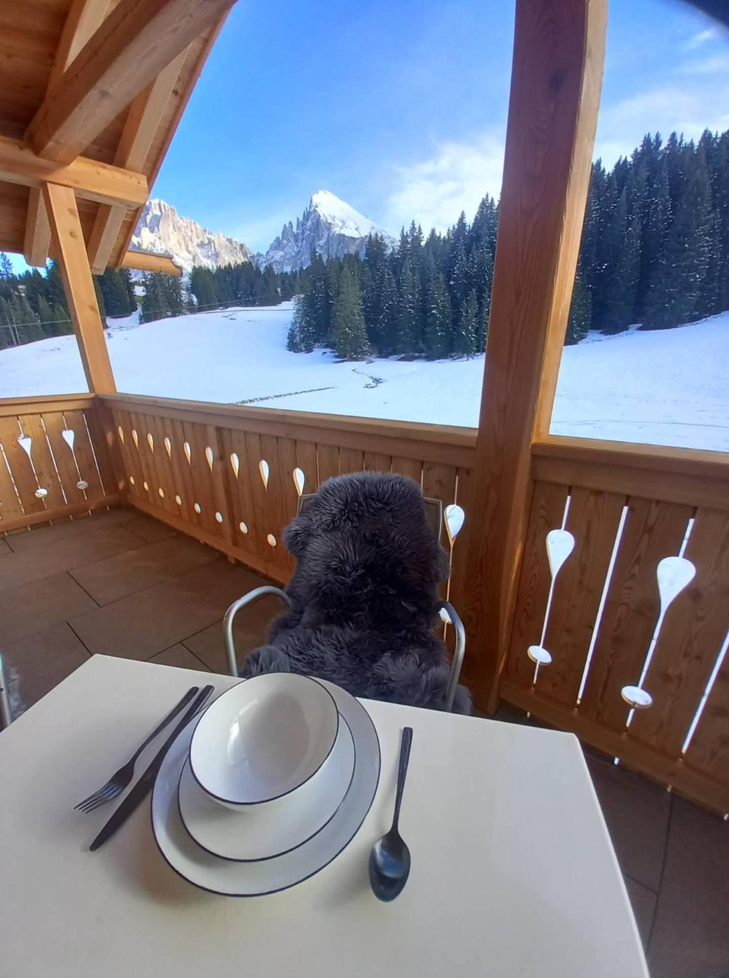 Chalet Silvesterhütte photo 4