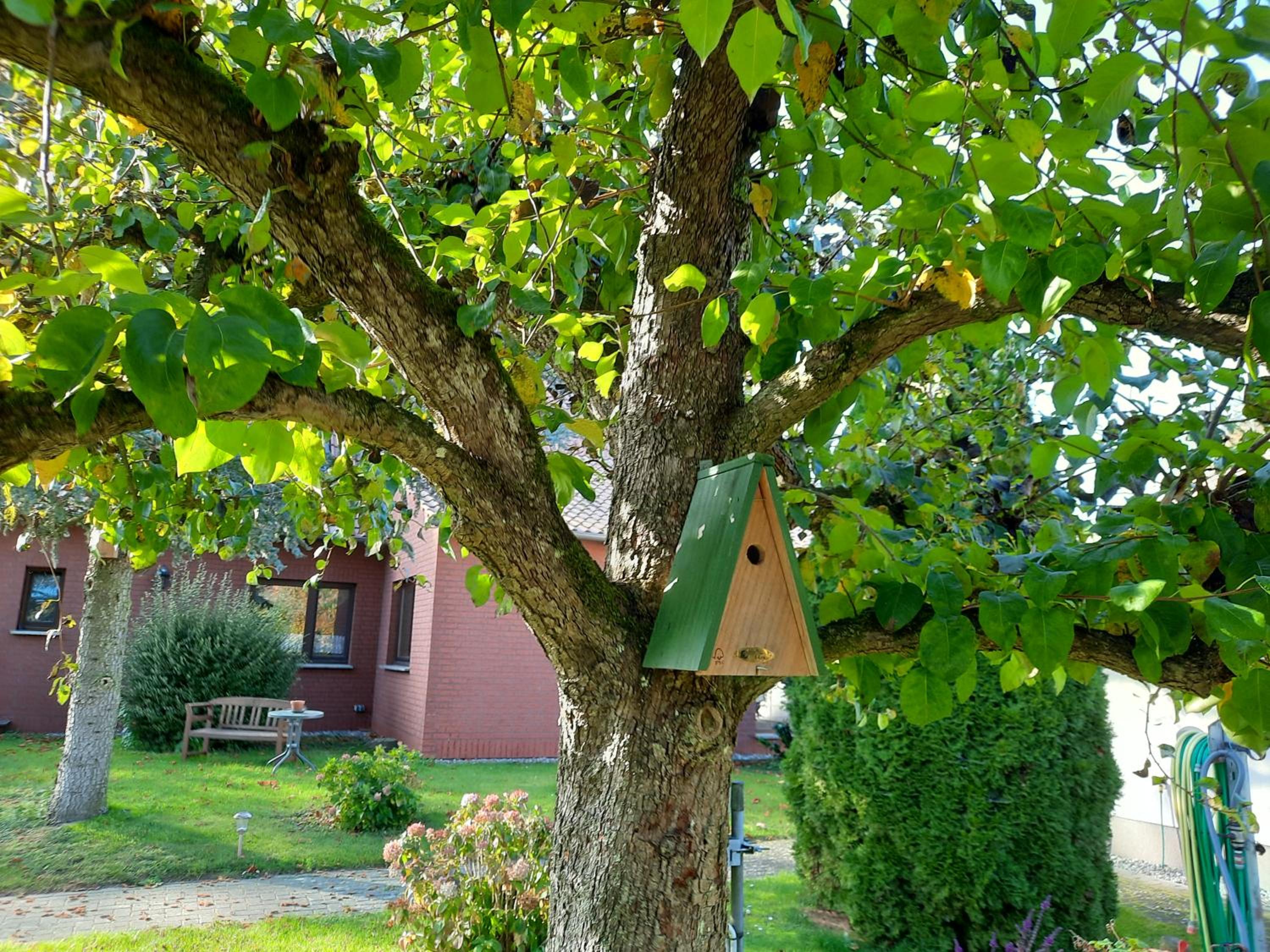 Das kleine, gemütliche Ferienhaus