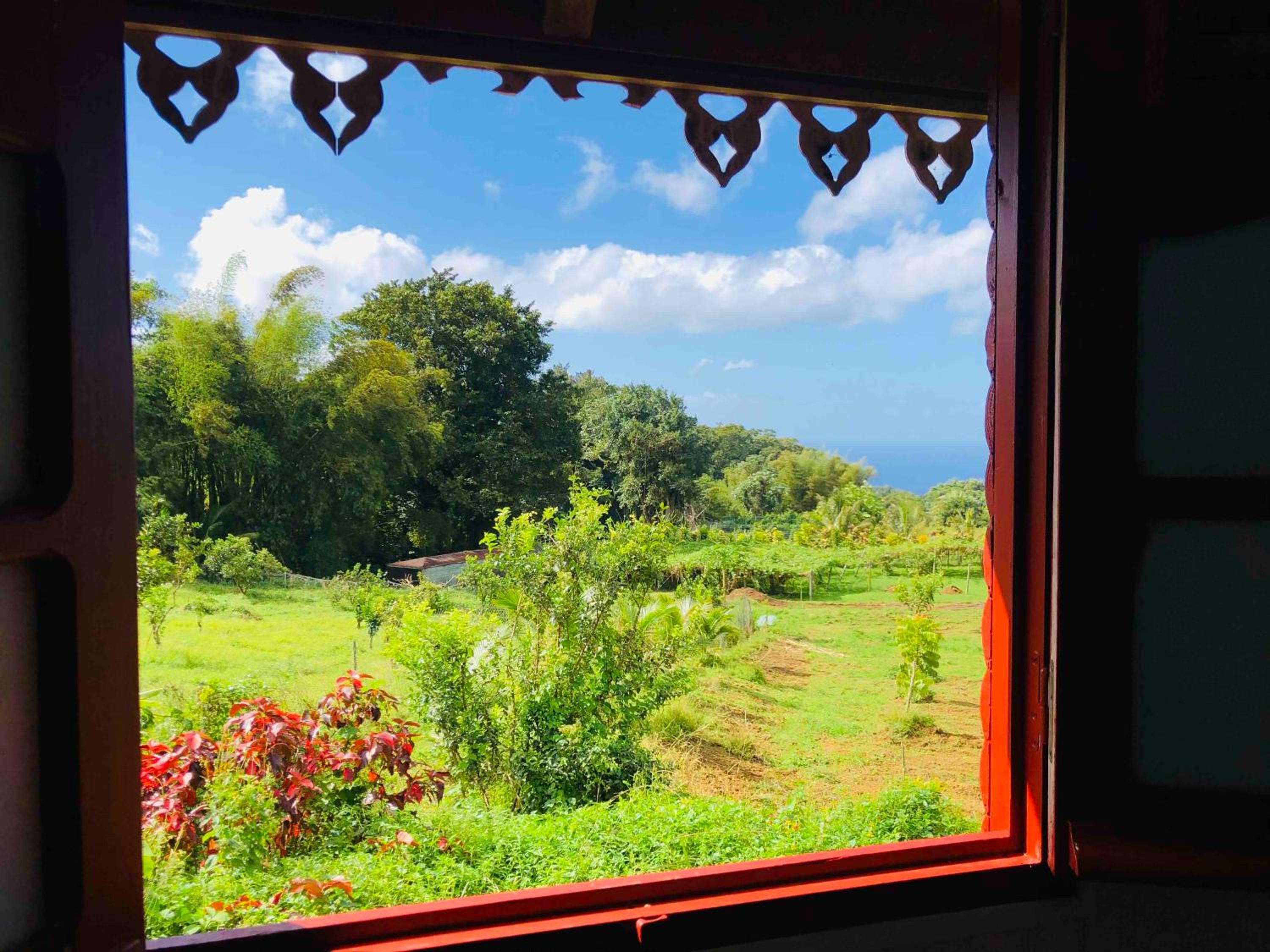 LE DOMAINE DE LA VALLEE view 5