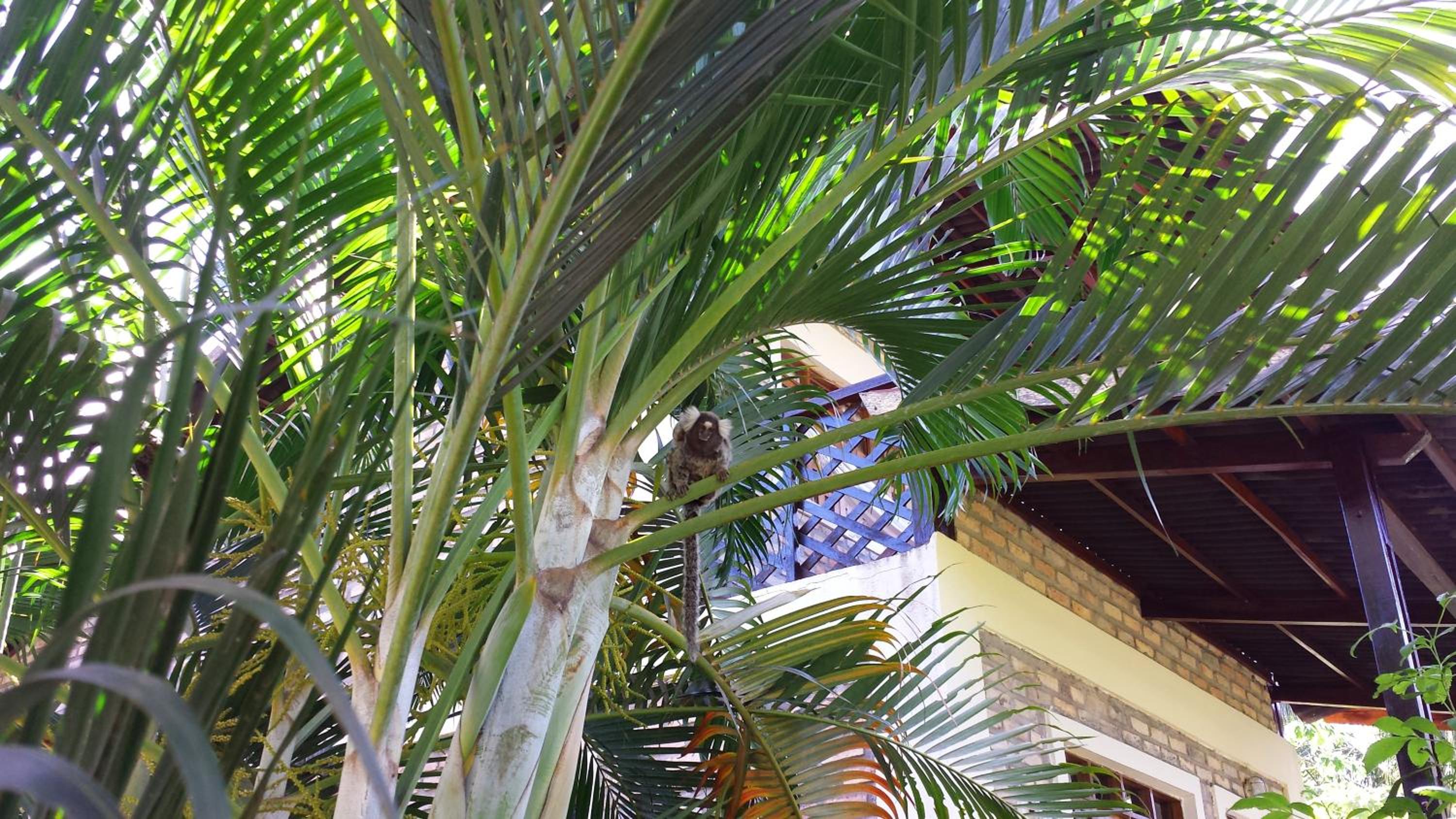 Pousada Vila Bacana