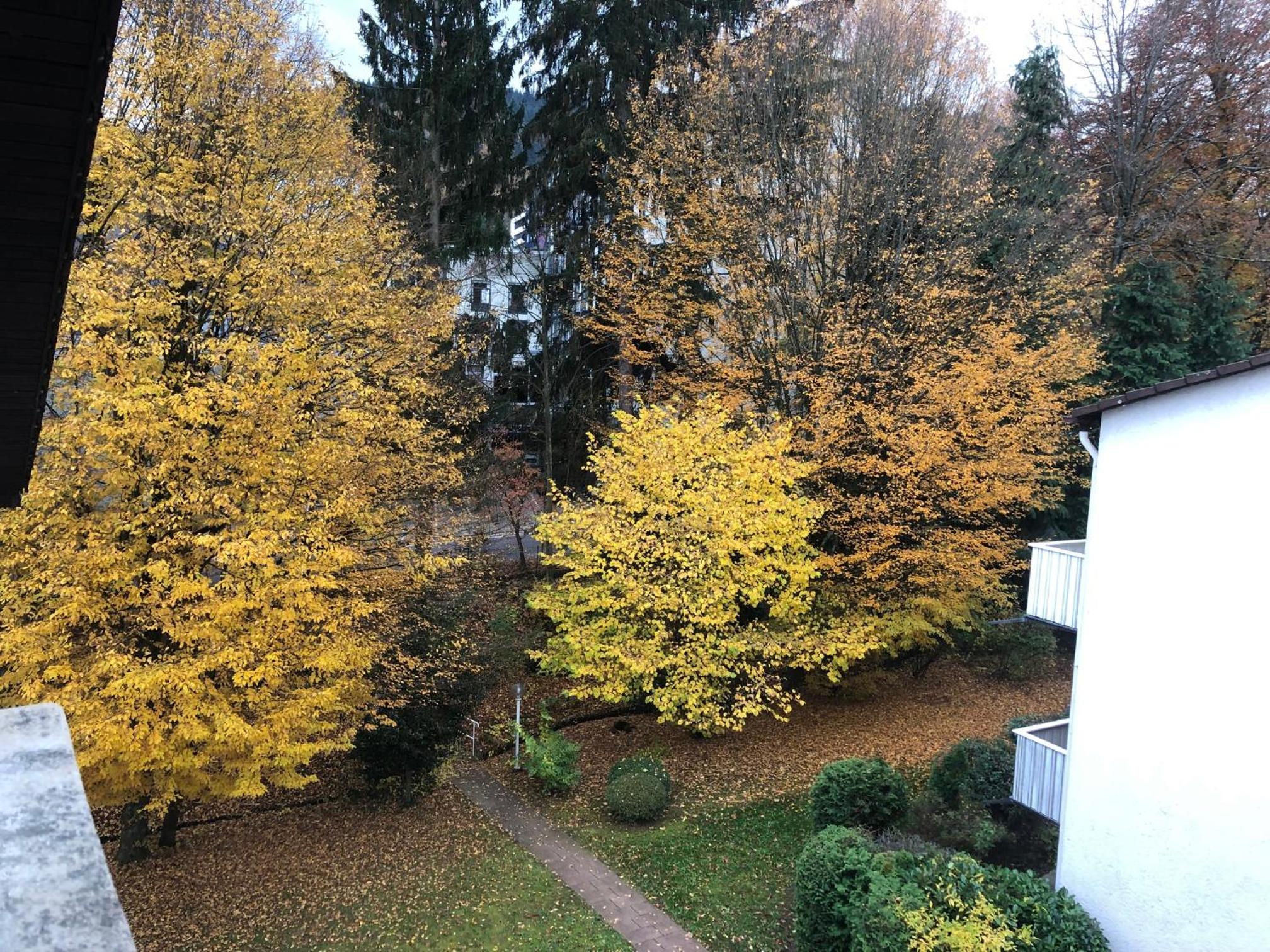 Cozy Apartment Fremersberg for 2 view 2