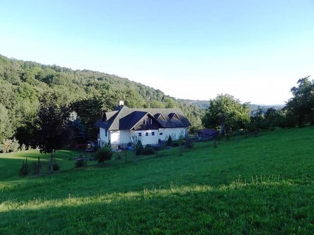 Photo 38