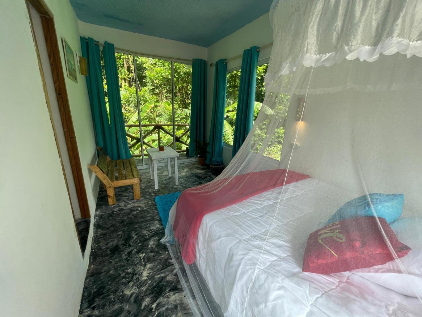 Salvaje Rooms&Restaurant view 4