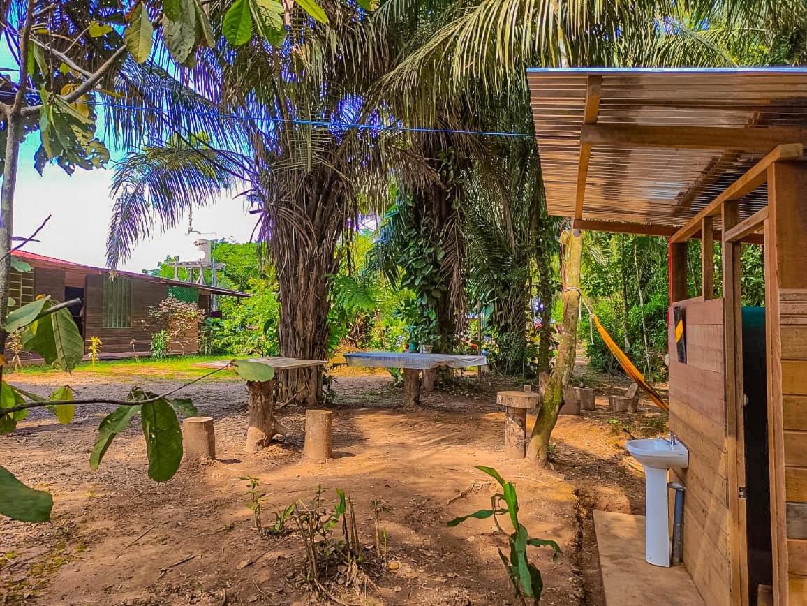 ROSA'S HOUSE, photo 29