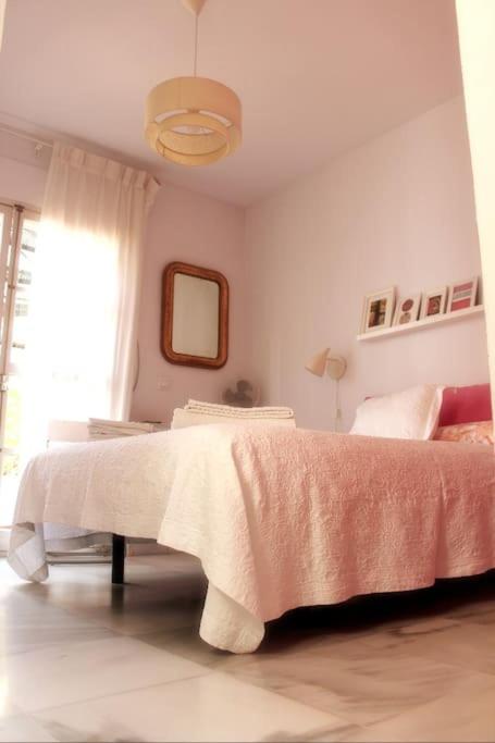 PENTHOUSE WITH LARGE TERRACE IN CENTER OF CÁDIZ