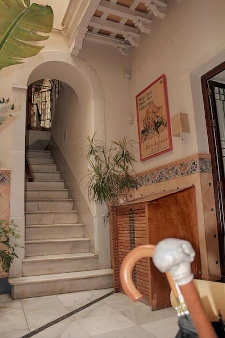 PENTHOUSE WITH LARGE TERRACE IN CENTER OF CÁDIZ