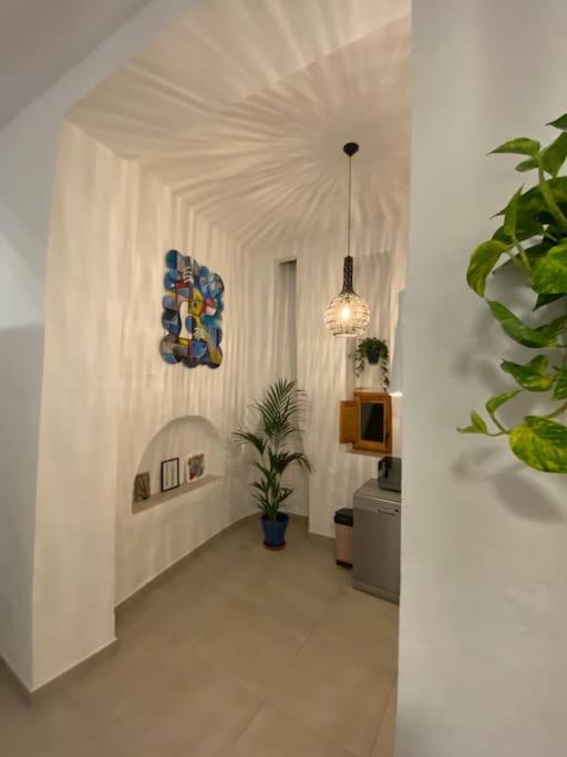 Casa Palma