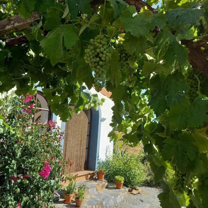 Quinta Do Grilo view 2