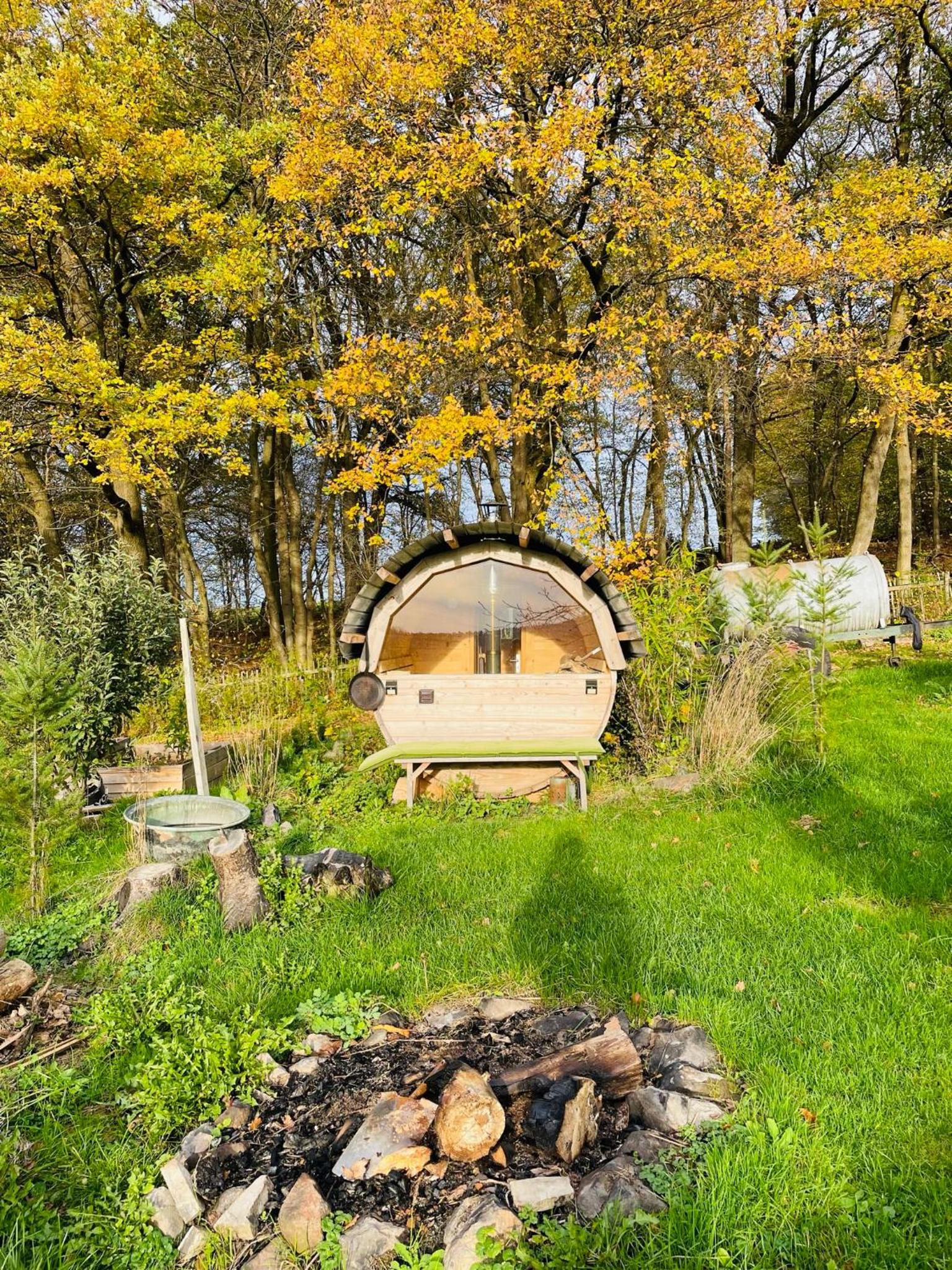 Tiny House/Waldhaus - Westerwald