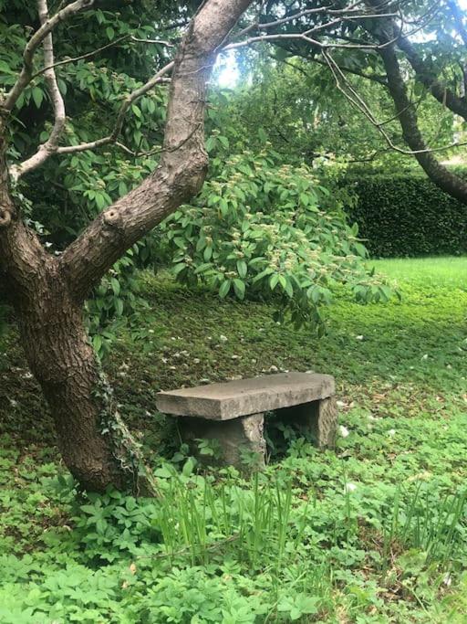 Escape To The Country @ Bron Offa Bach, photo 17