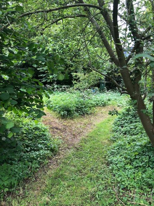 Escape To The Country @ Bron Offa Bach, photo 24