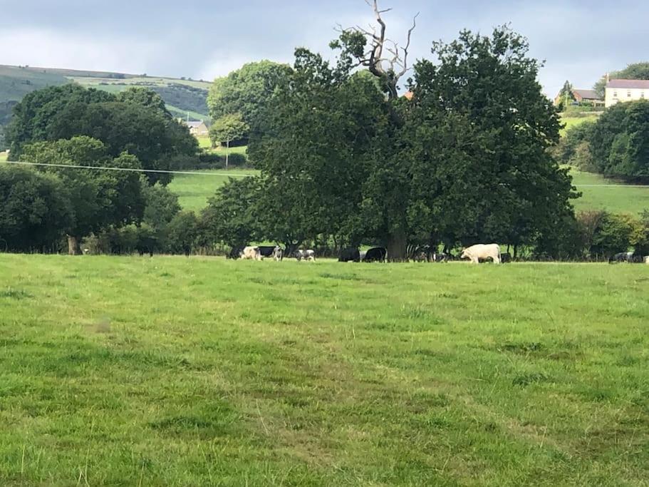 Escape To The Country @ Bron Offa Bach