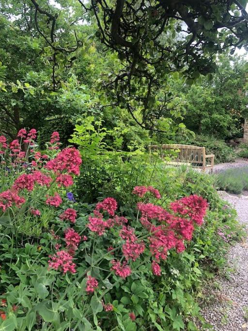 Escape To The Country @ Bron Offa Bach, photo 31