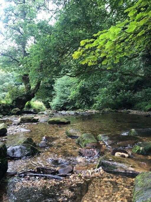 Escape To The Country @ Bron Offa Bach, photo 25