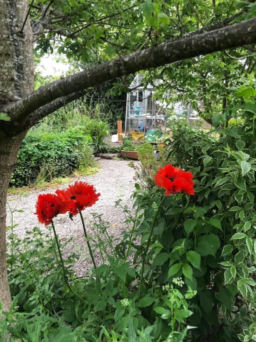 Escape To The Country @ Bron Offa Bach
