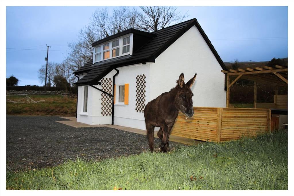 Killeavy Cottage