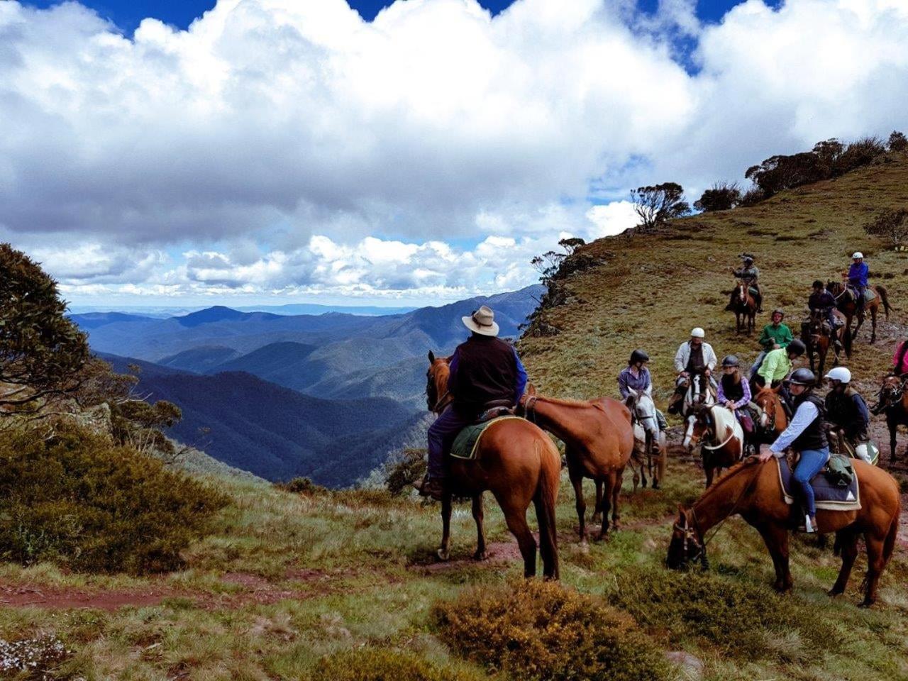 Omaroo High Country Retreat