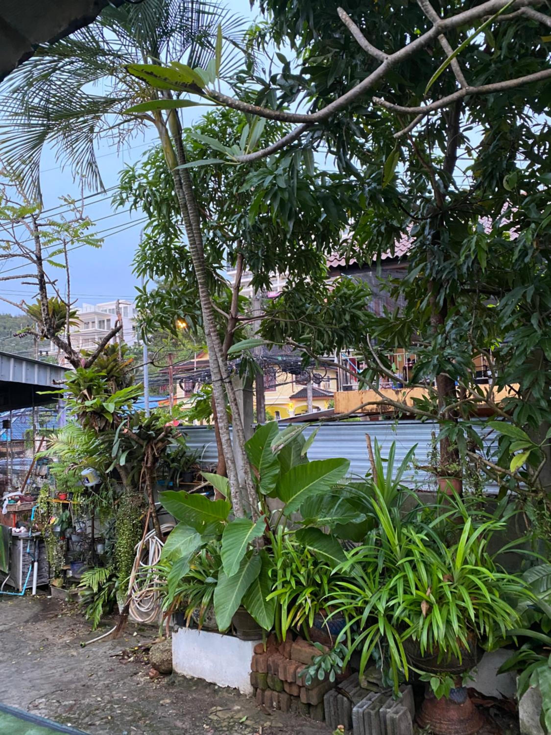 Nan Inn Bungalow