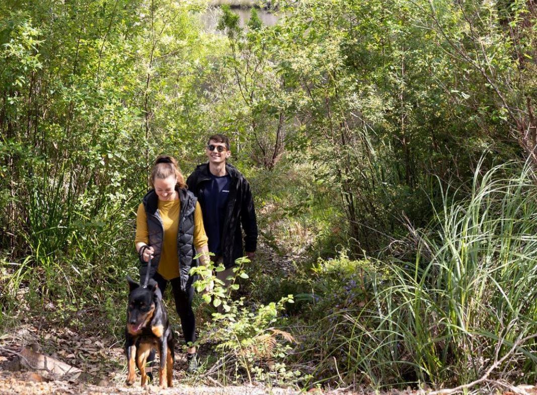Photo 41
