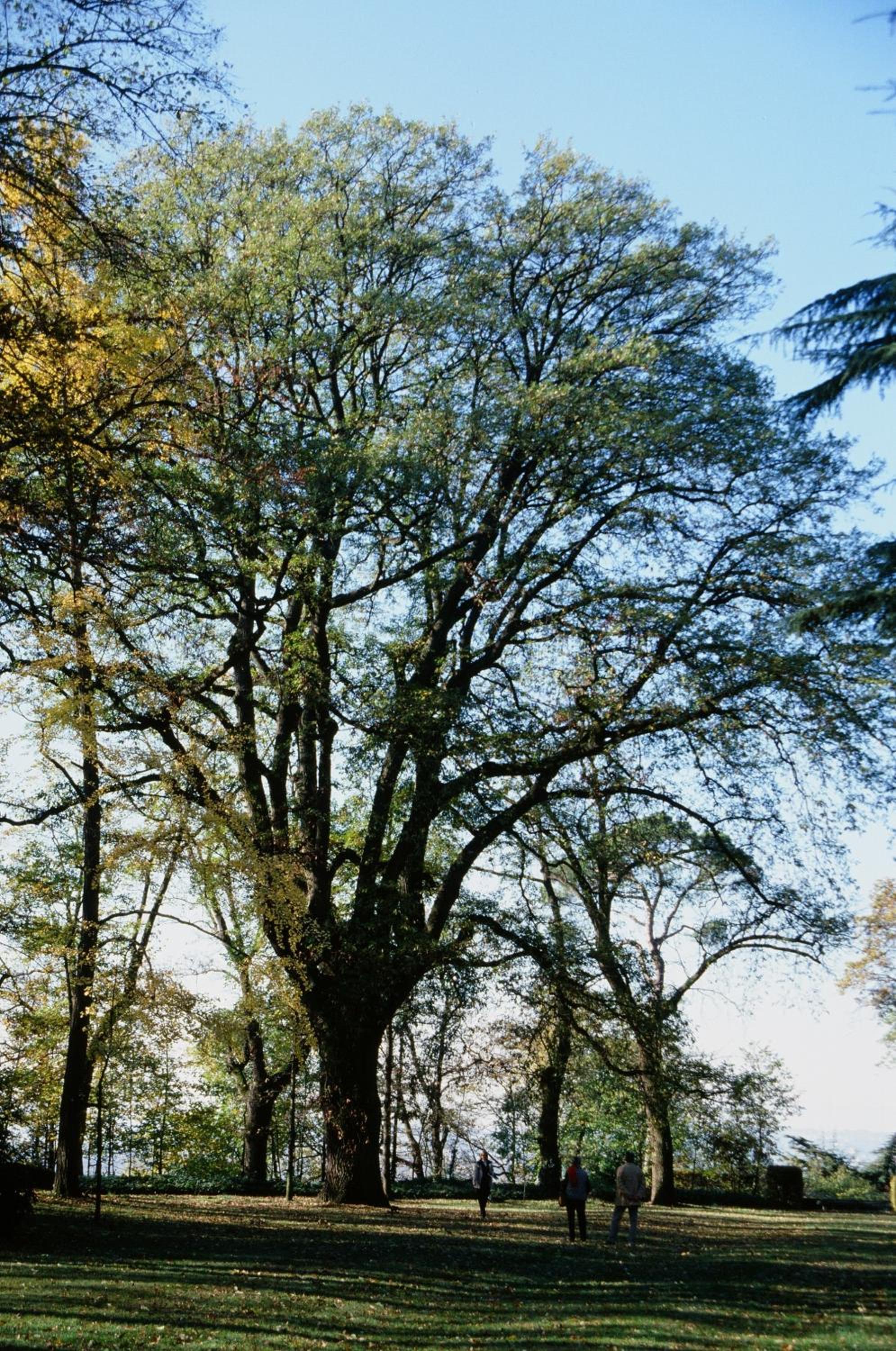 Marchesi Alfieri - Cantine e Ospitalità