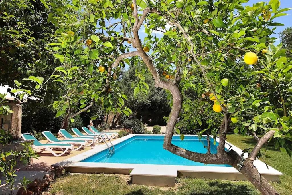 Lovely mallorquin farmhouse in Pollensa by Renthousing