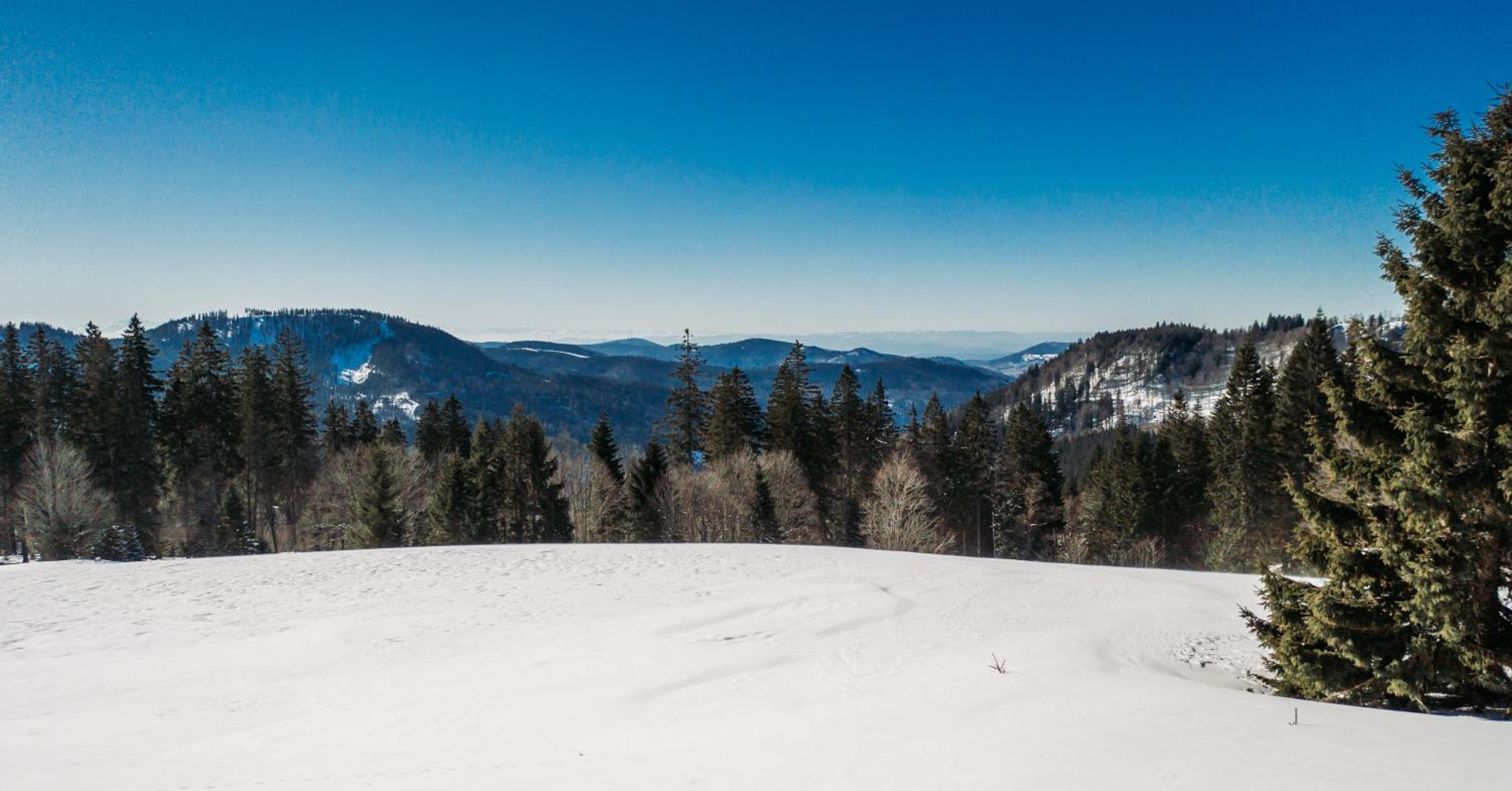 Berggasthof zur Todtnauer Hütte