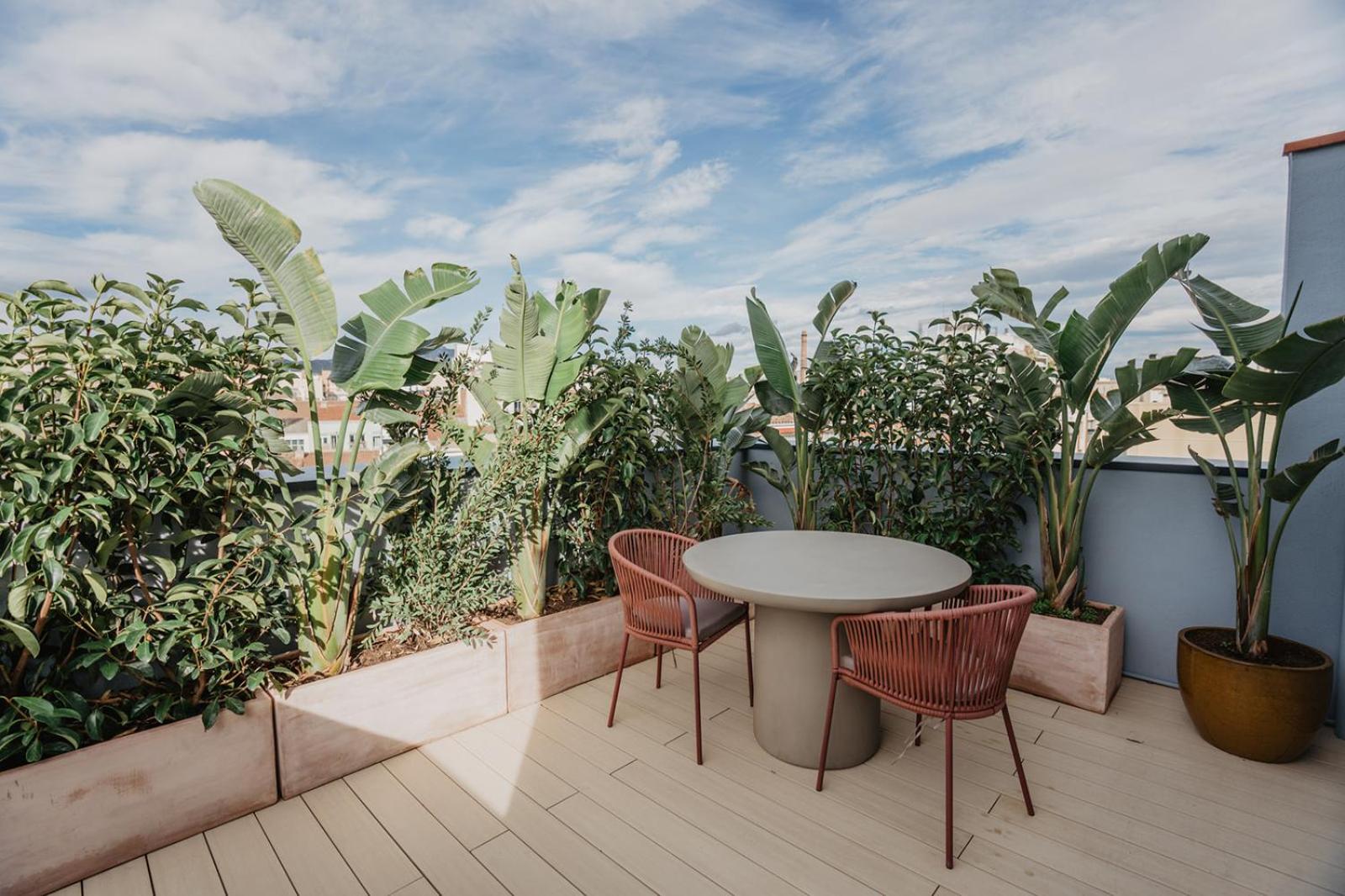balance & terrace