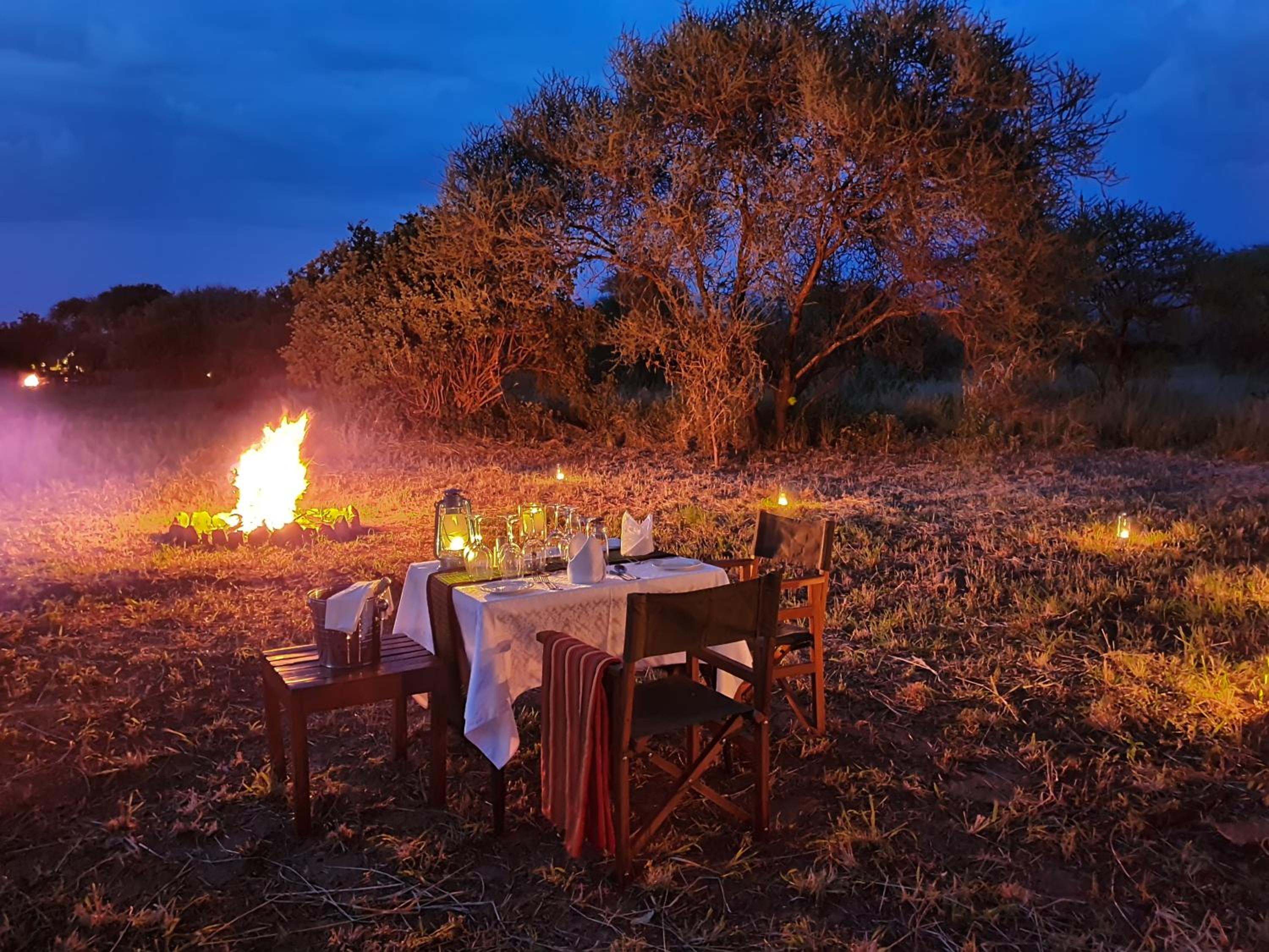 Wellworth Tarangire Kuro Treetops Lodge view 2