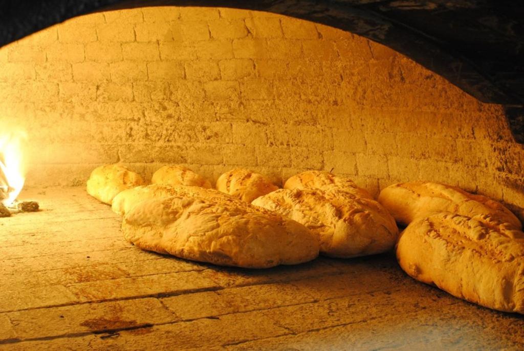 La Vecchia Quercia