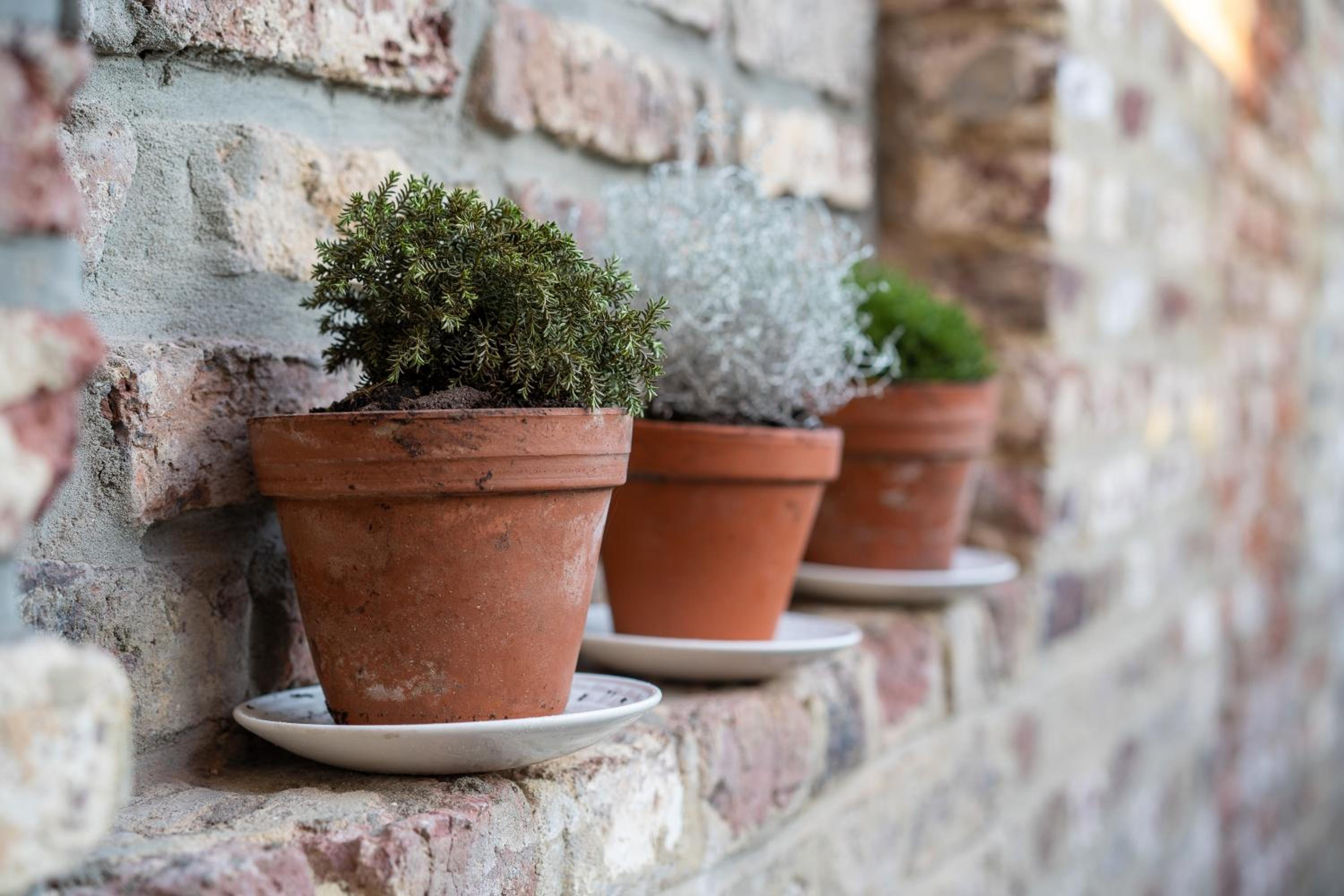Au four et au jardin