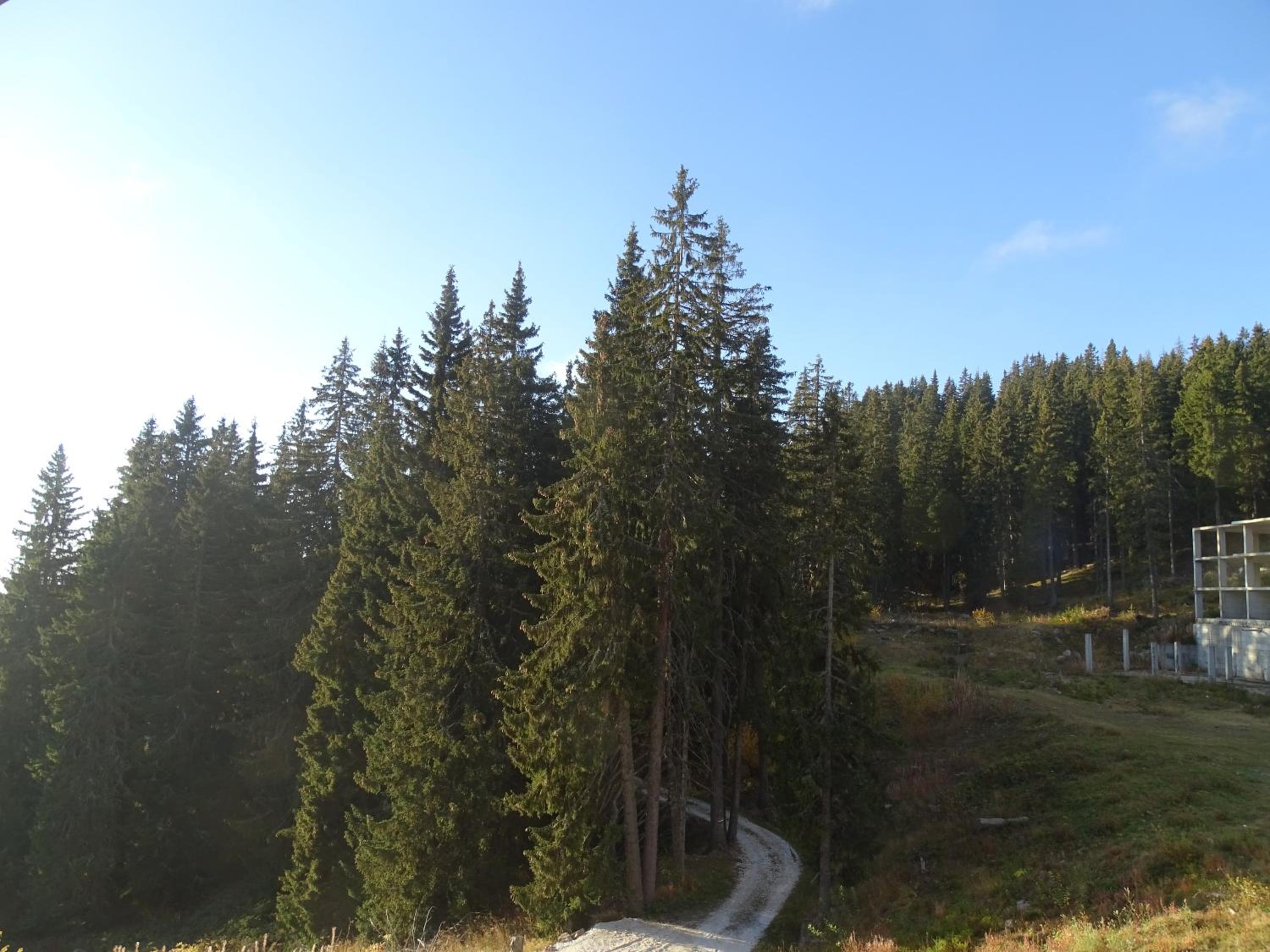 Photo 48