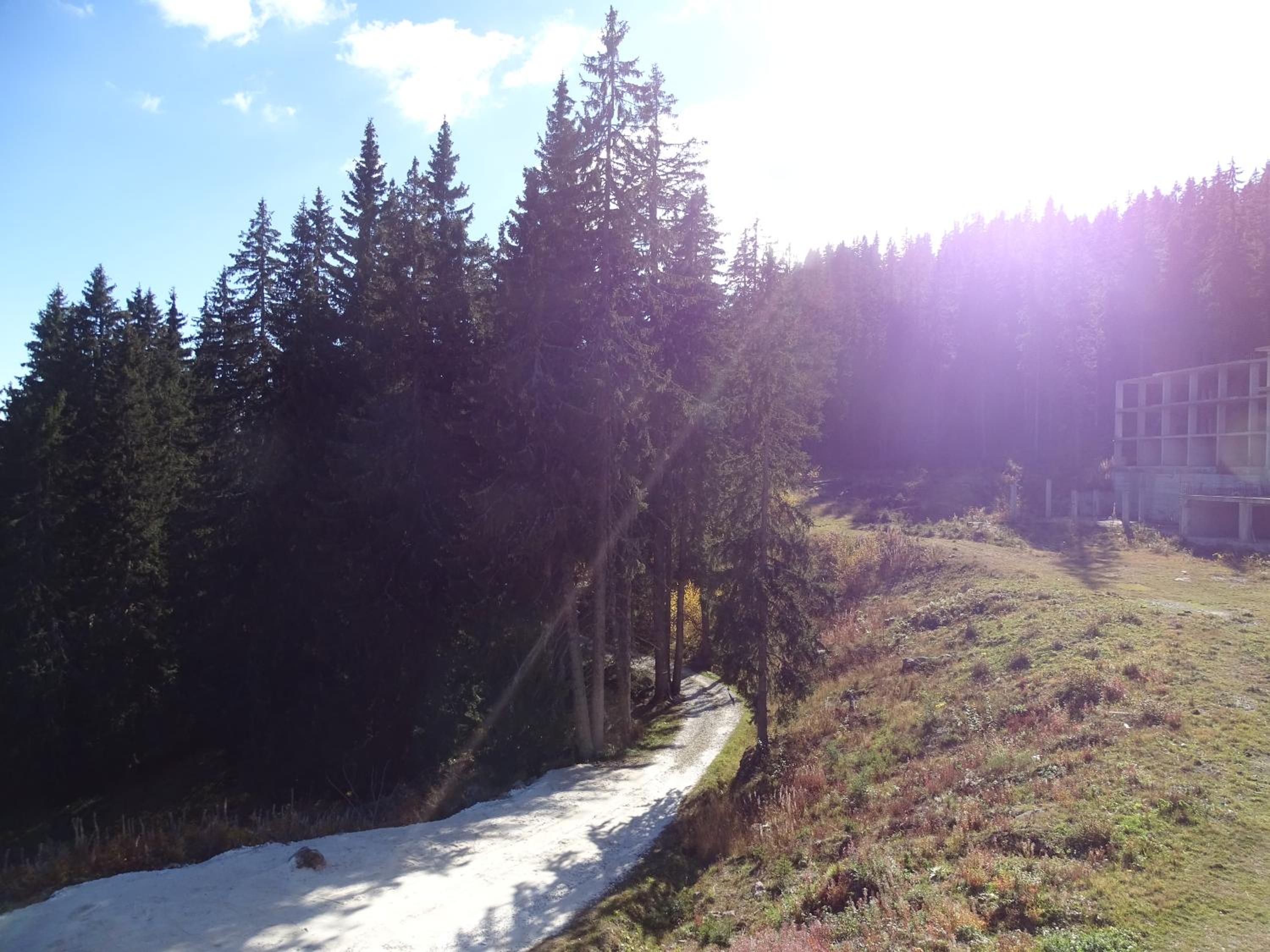Photo 47