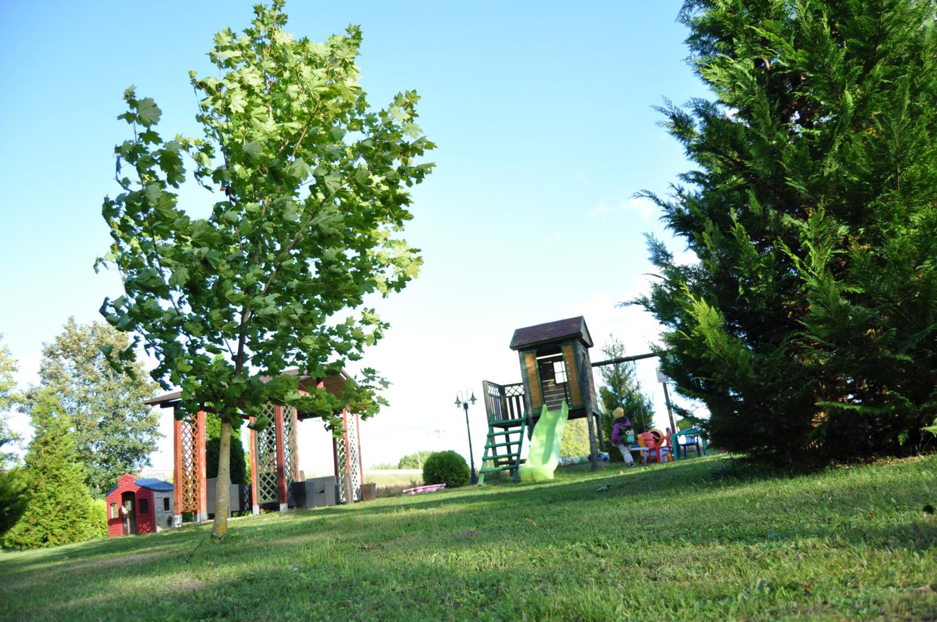 Photo 47