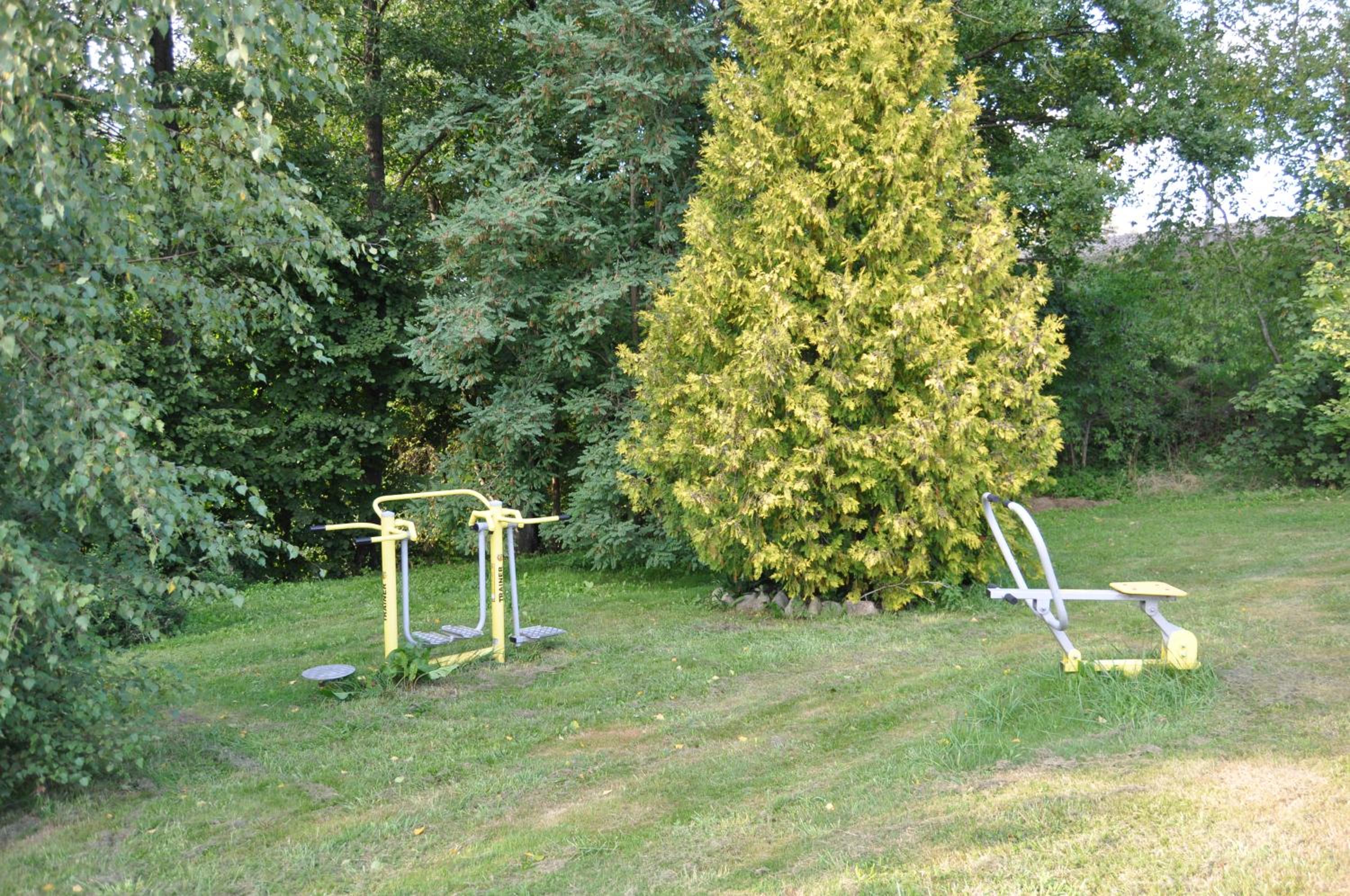 Photo 41