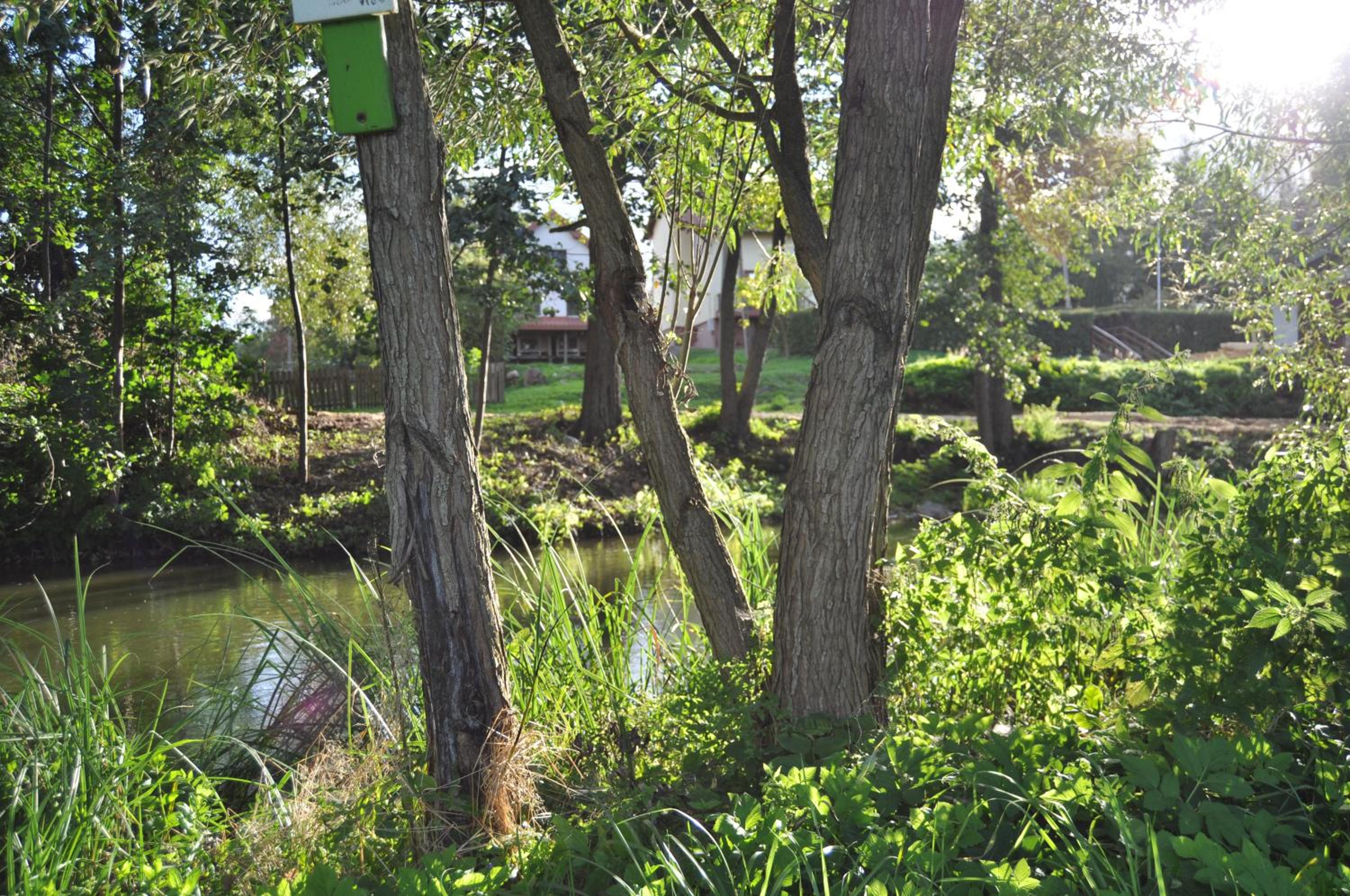 Photo 46