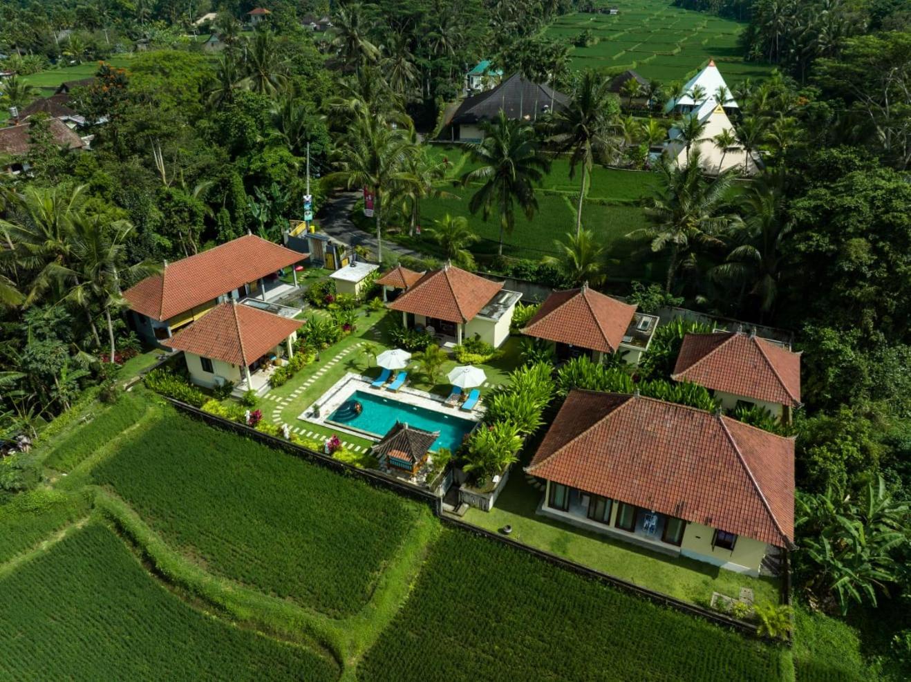 TAMAN EDEN COTTAGE view 4