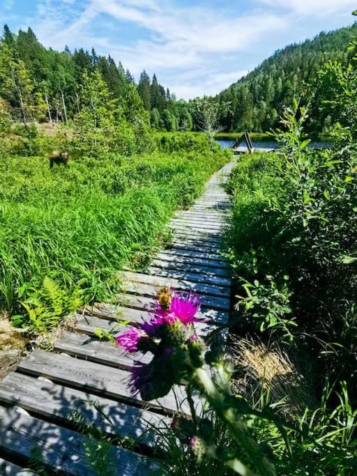 Photo 31