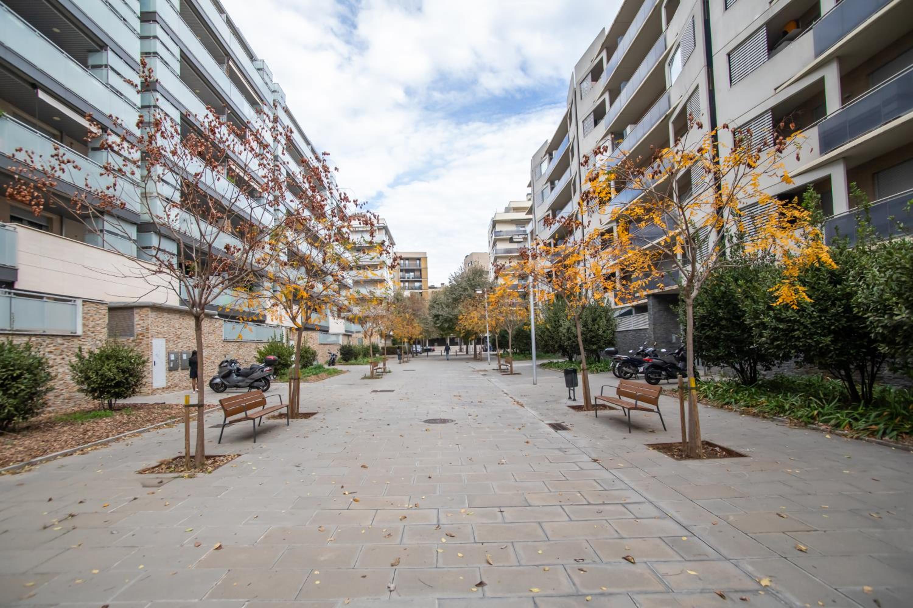 Tendency Apartments Forum