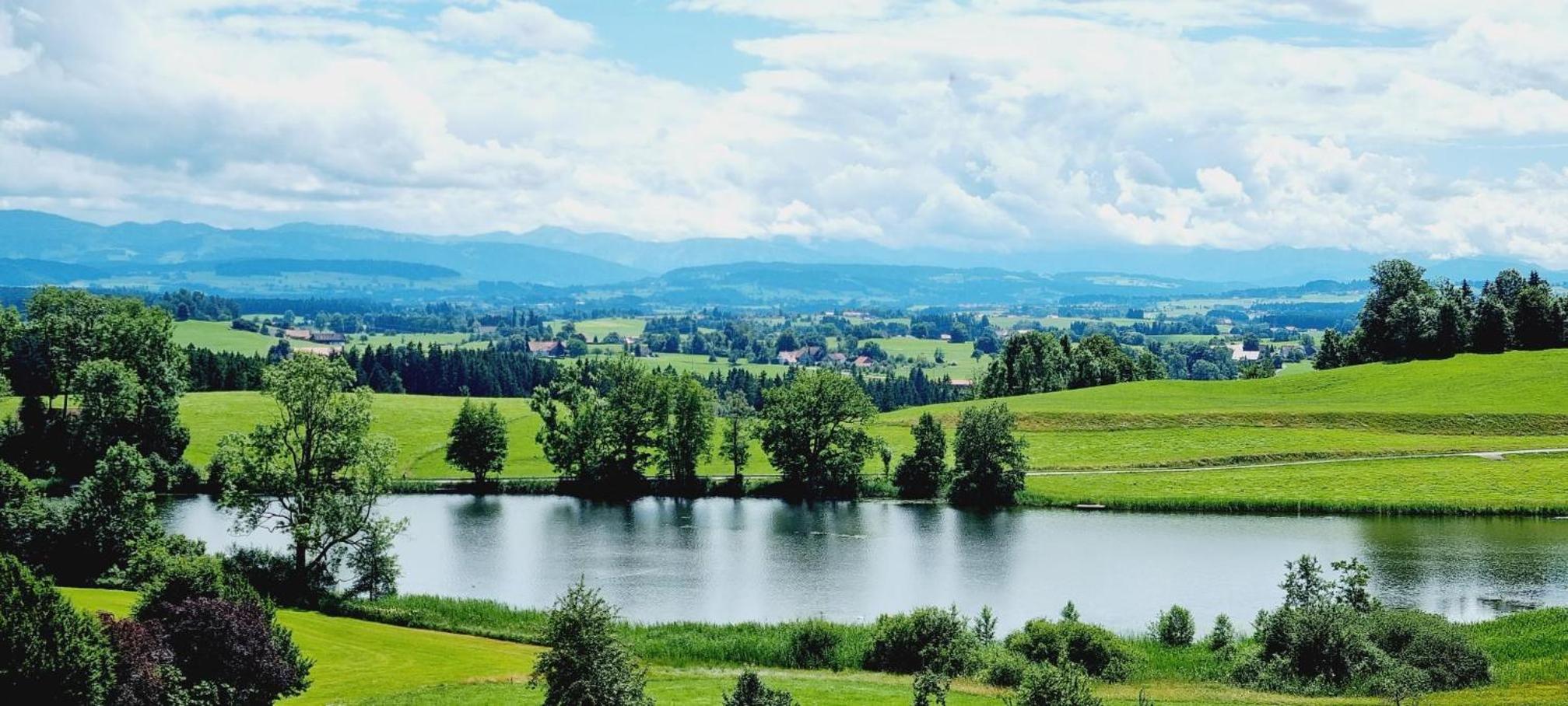 Butterei