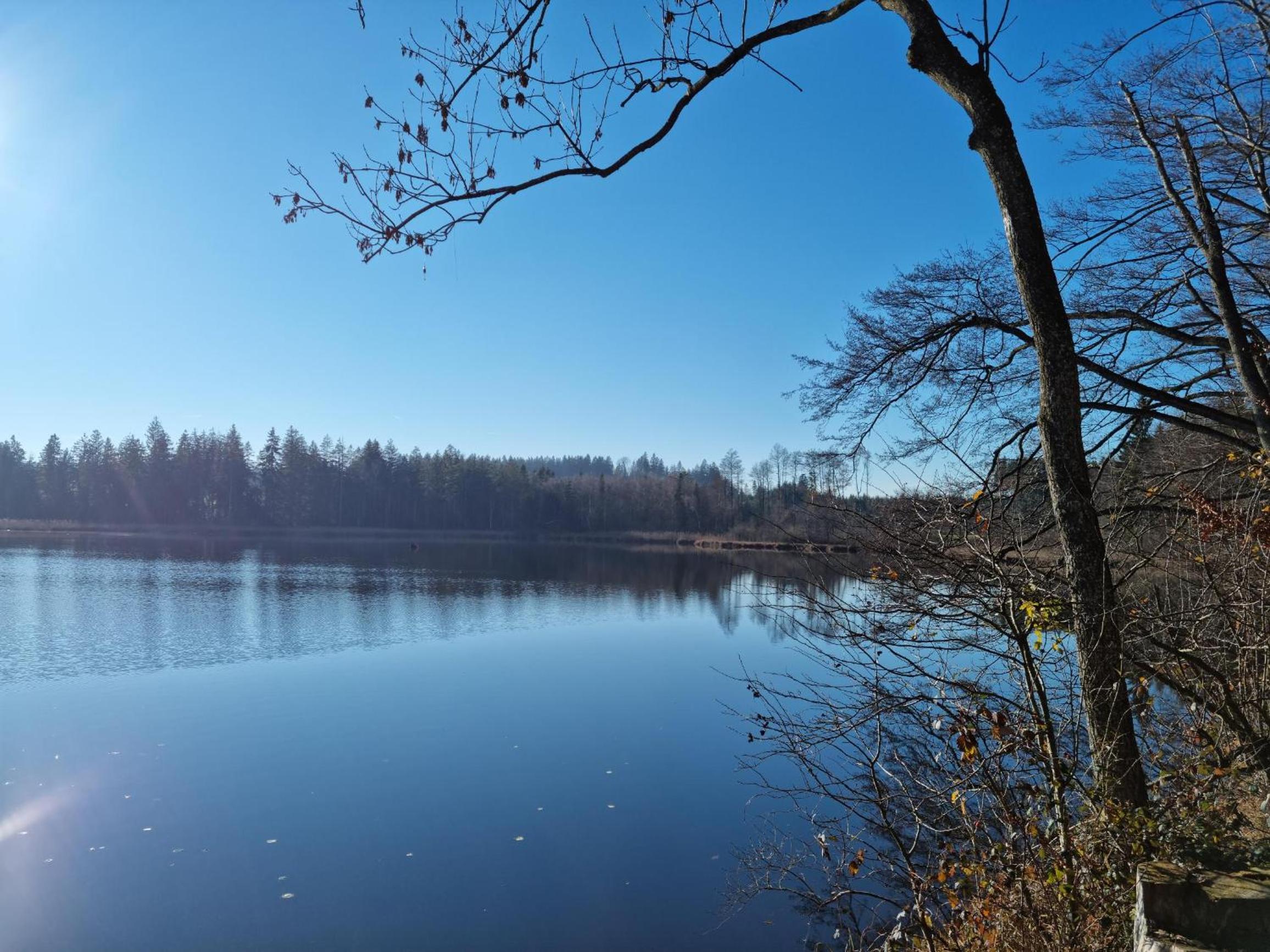 Butterei