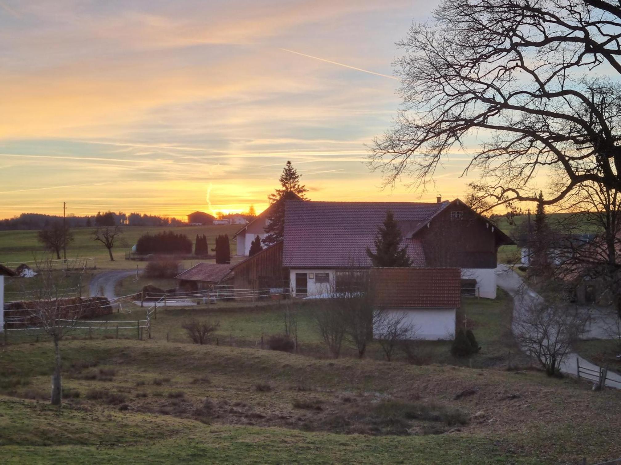 Butterei