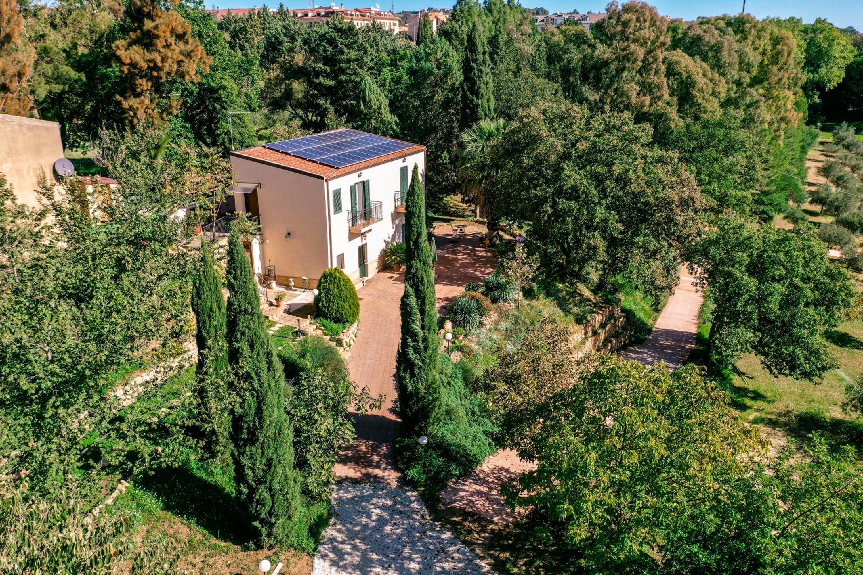 Dream House
