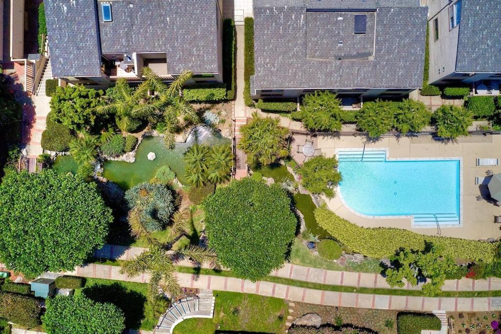 Oceanfront Luxury, Fully Remodeled, Five-Star