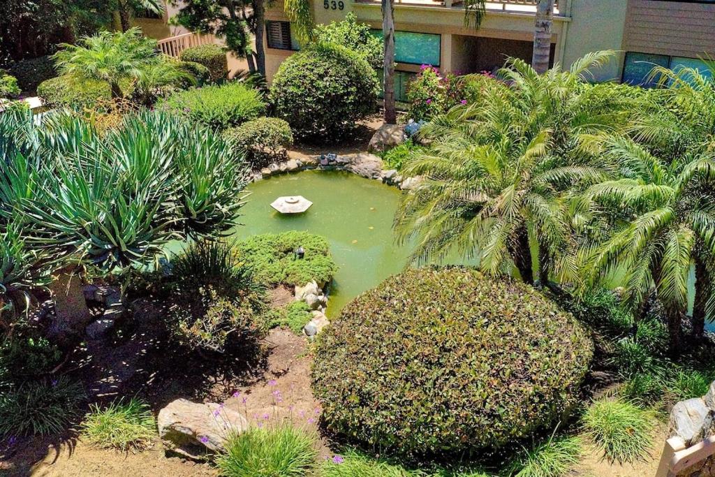 Oceanfront Luxury, Fully Remodeled, Five-Star