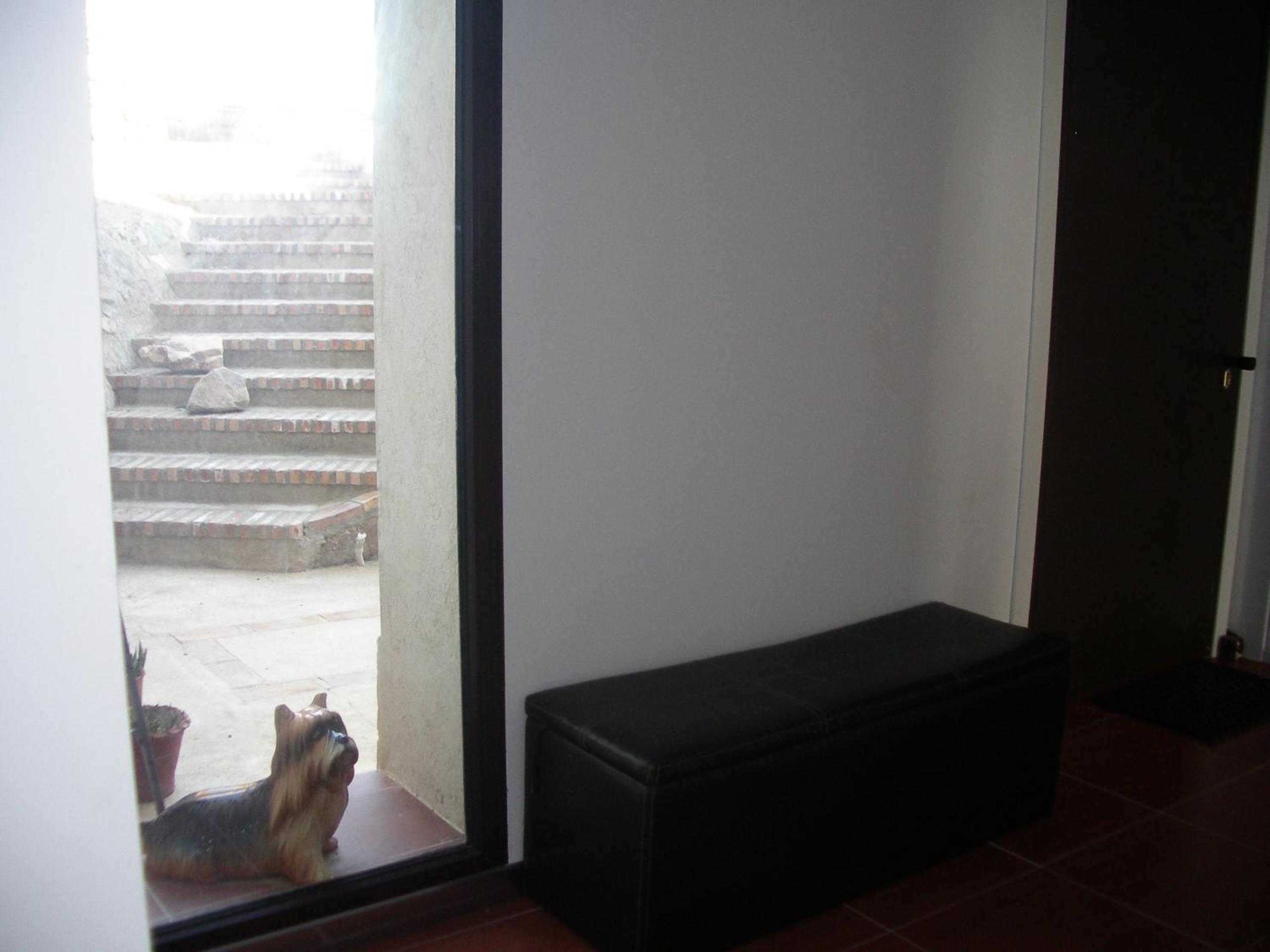 Photo 49