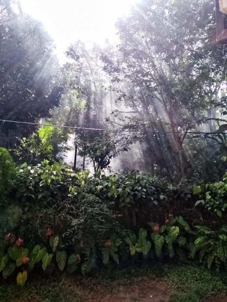 Hiru Resort Inn Unawatuna view 2