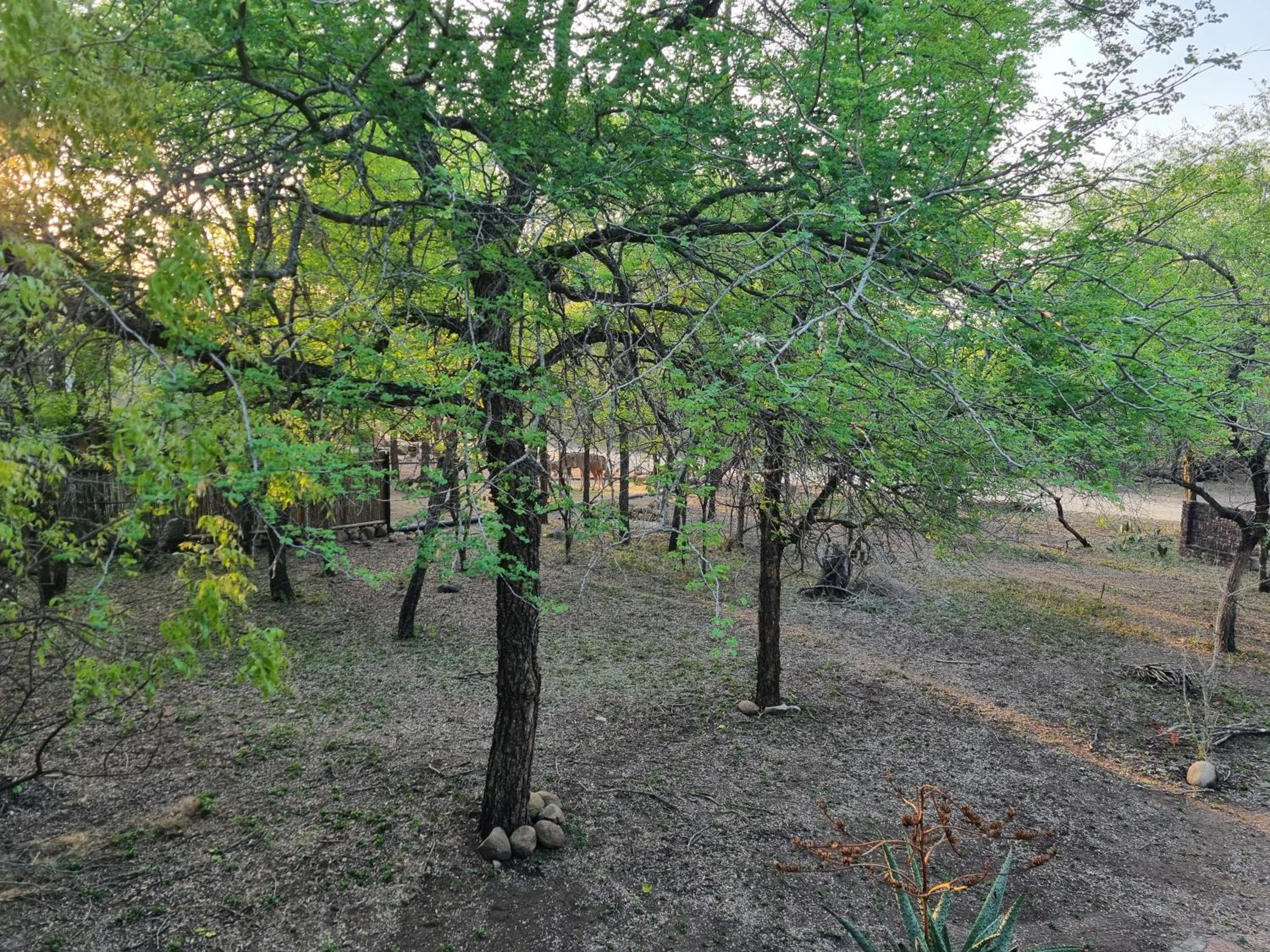 Photo 47