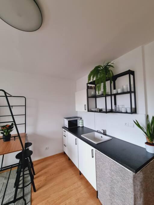 -NEW-Rosetta Apartment